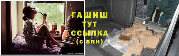 индика Няндома