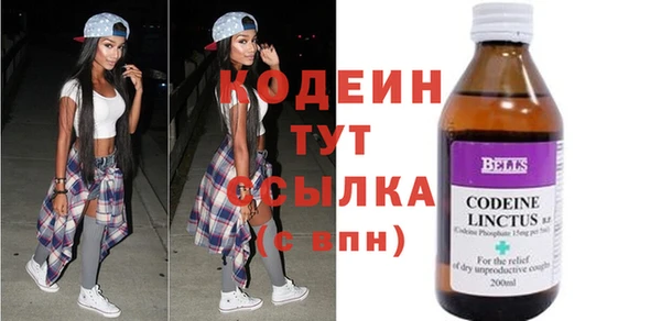индика Няндома