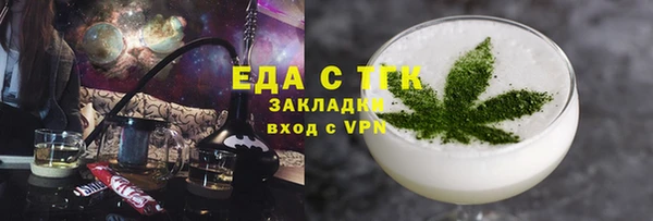 индика Няндома