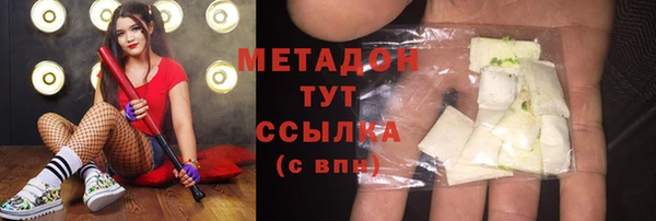 индика Няндома