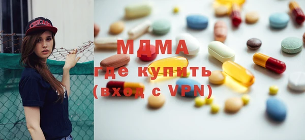индика Няндома