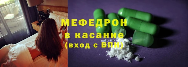 индика Няндома