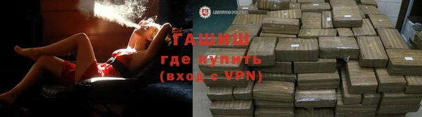 индика Няндома