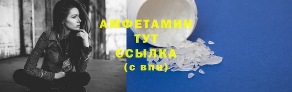индика Няндома