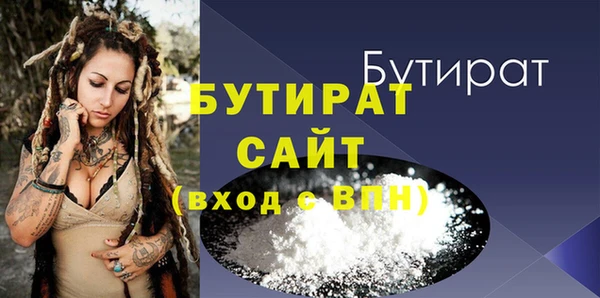 индика Няндома