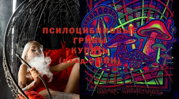 индика Няндома