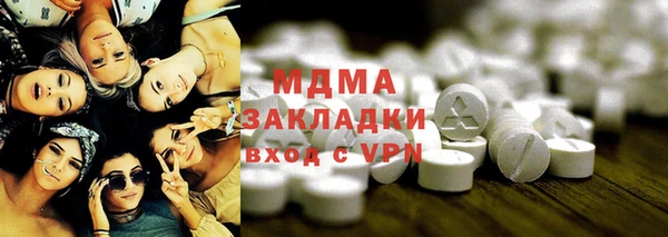 индика Няндома