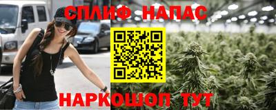 mdpv Донской