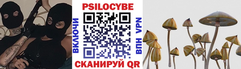 Псилоцибиновые грибы Psilocybe  Мыски 